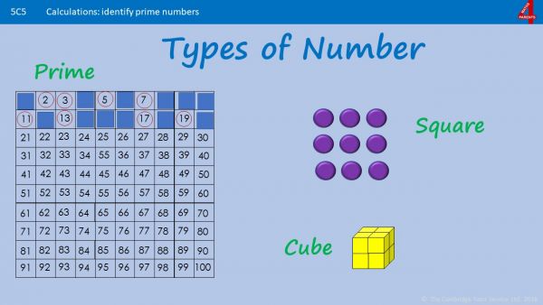 PLAYLIST - What are the different types of number used in maths