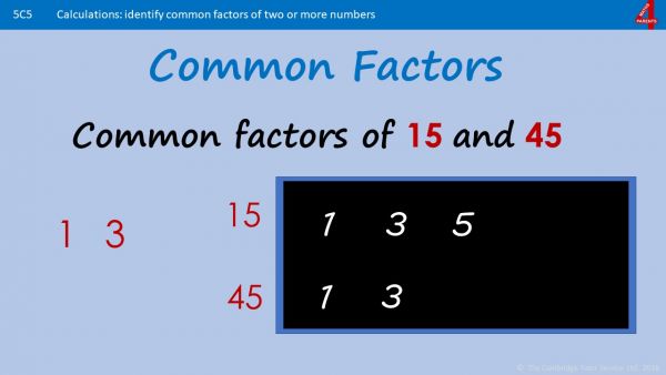 Finding Common Factors