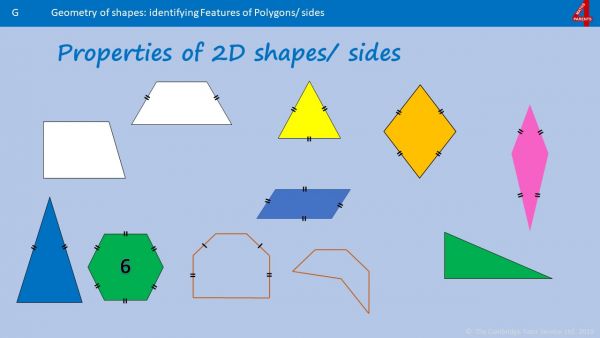 Geometry - Shapes, Lines and Angles